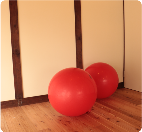 バランスボール